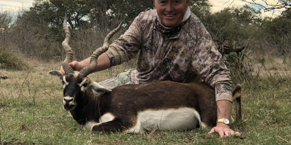 Black Buck Antelope - Hunt 3214