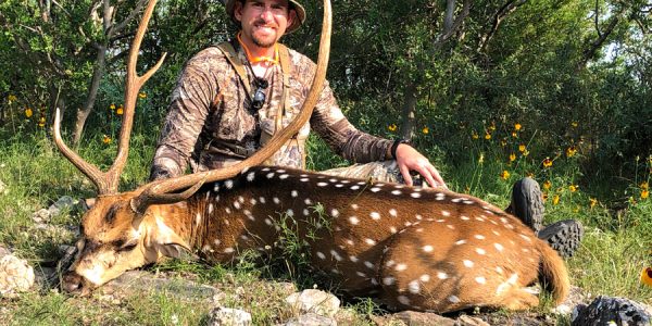 Texas Axis Deer - Hunt #3214