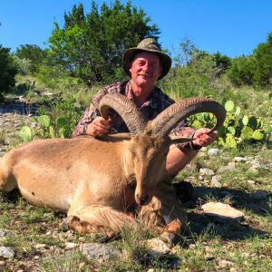 Hunt 3225 - Aoudad Sheep - Texas