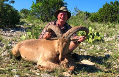 Hunt 3225 - Aoudad Sheep - Texas