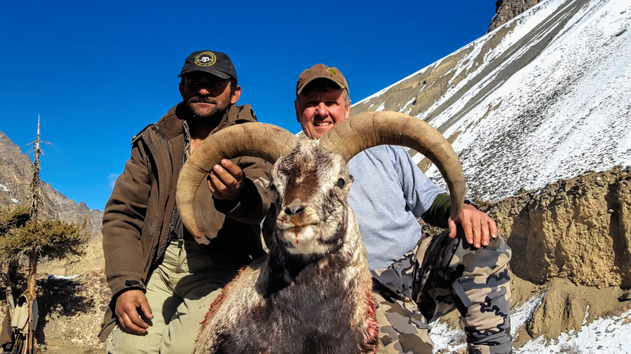 Hunt 3285 - Blue Sheep Hunt - Pakistan - 0007