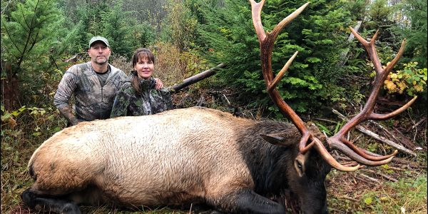 Hunt 3353 - Roosevelt Elk - Rifle Hunt