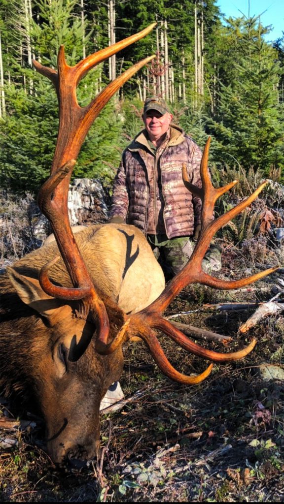 Hunt 3353 - Roosevelt Elk - Rifle Hunt Trophy