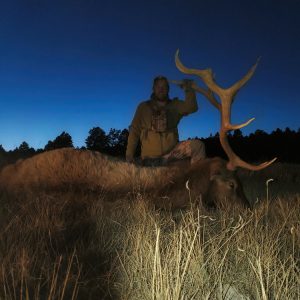 New Mexico Elk - 5 - Hunt 3475
