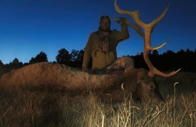 New Mexico Elk - 5 - Hunt 3475