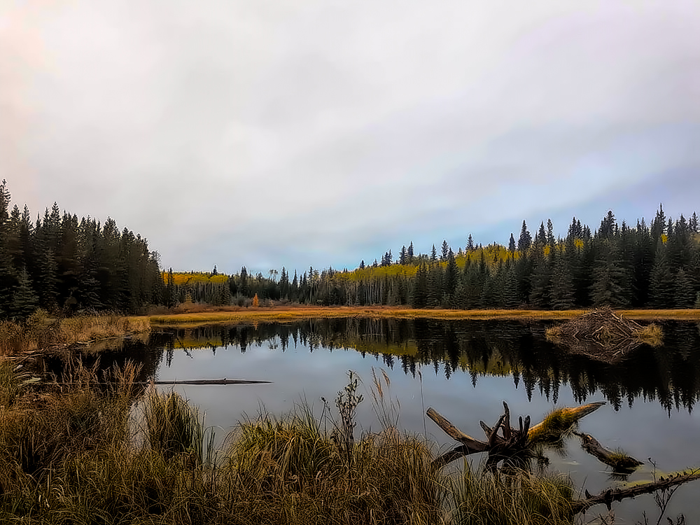 Scenic view - Canadian Moose Rut Hunt - Hunt #3486