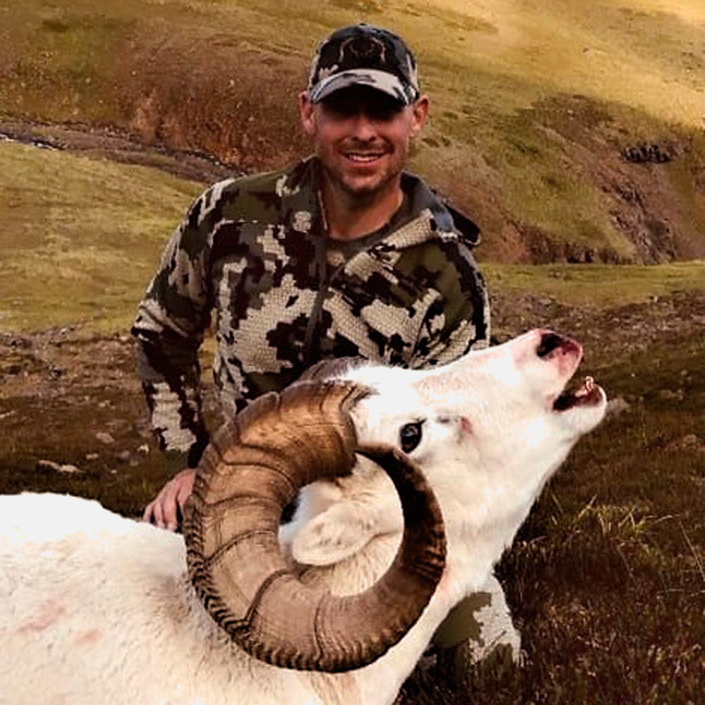 Alaska Dall Sheep - Hunt 3513 - 3