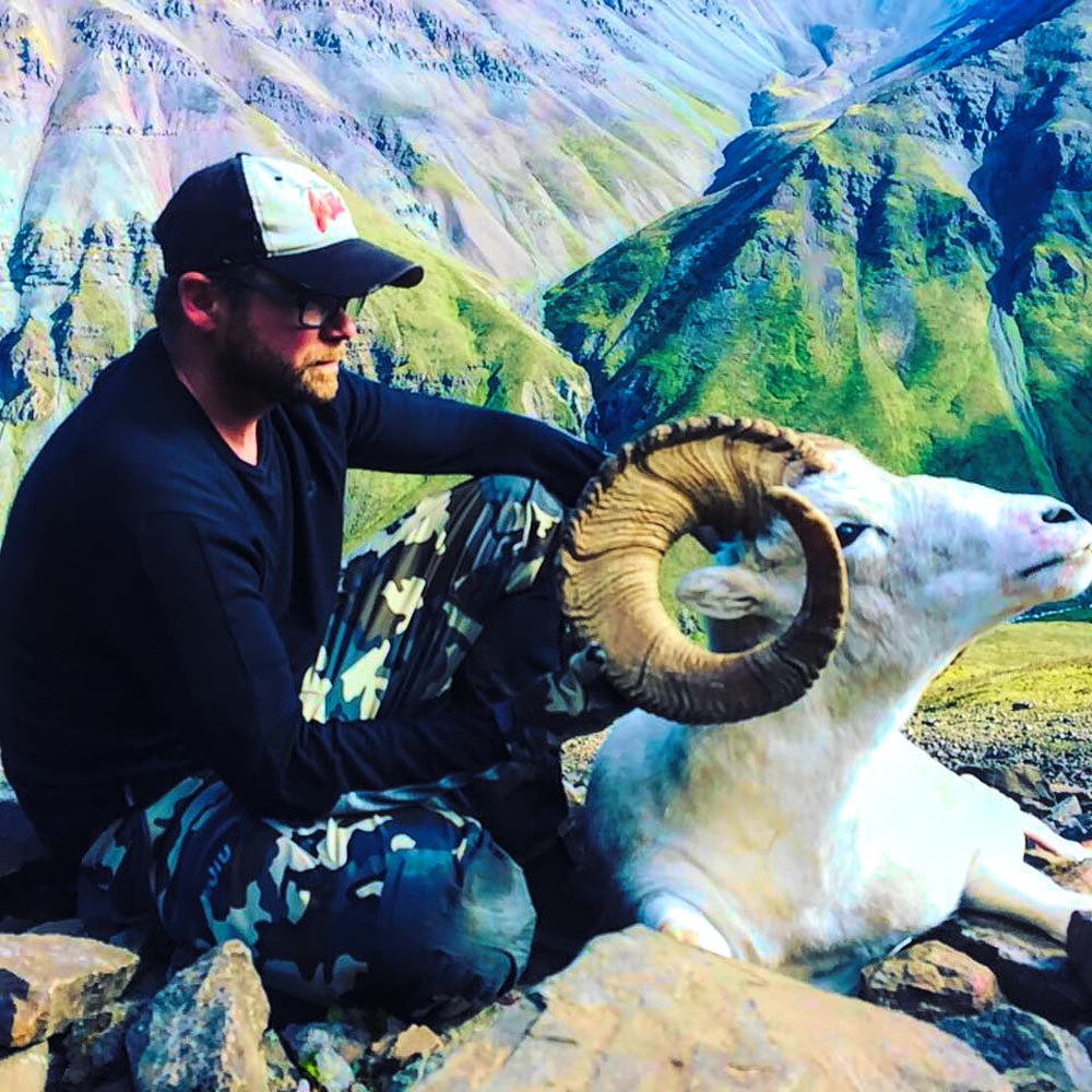 Alaska Dall Sheep - Hunt 3513 - 4