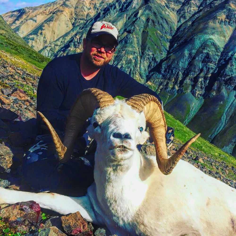 Alaska Dall Sheep - Hunt 3513 - 1