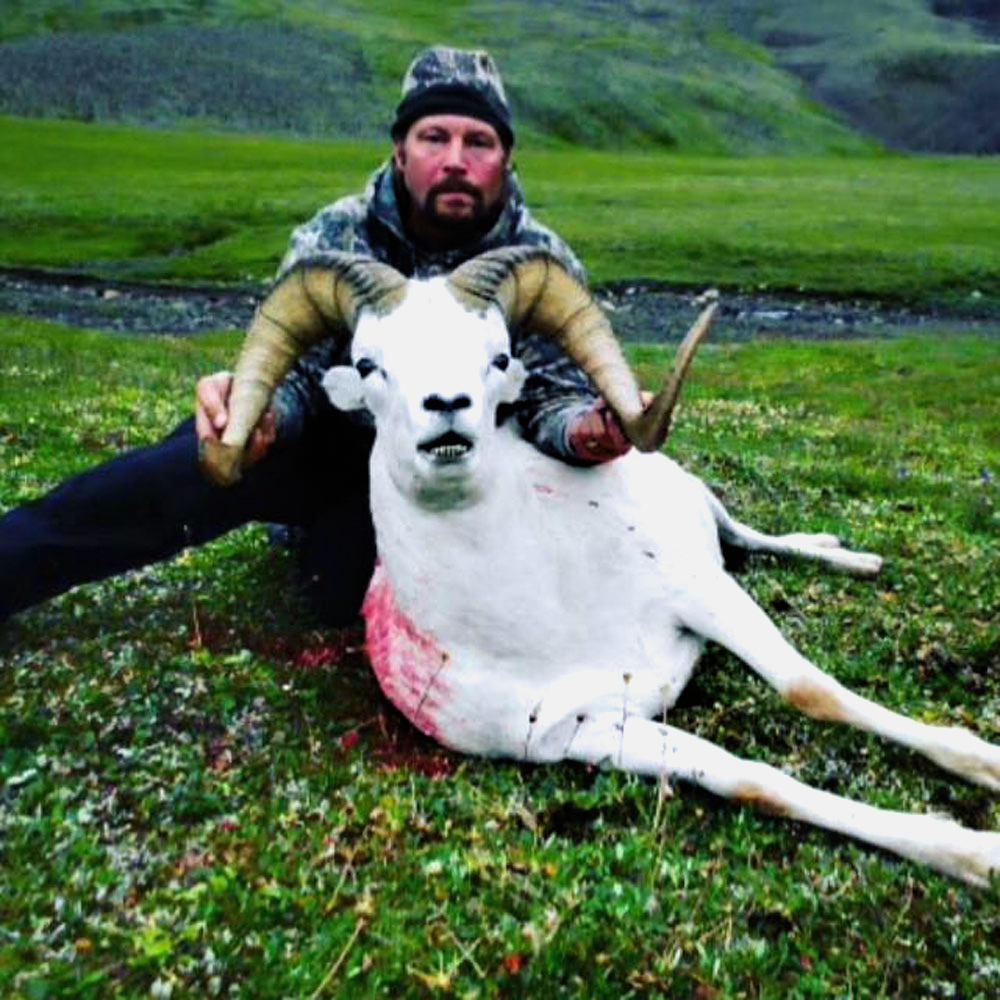Alaska Dall Sheep - Hunt 3513 - 6