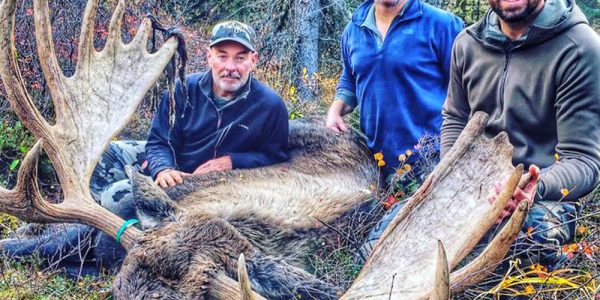 Alaska Moose Hunt - Hunt #3524 - 5