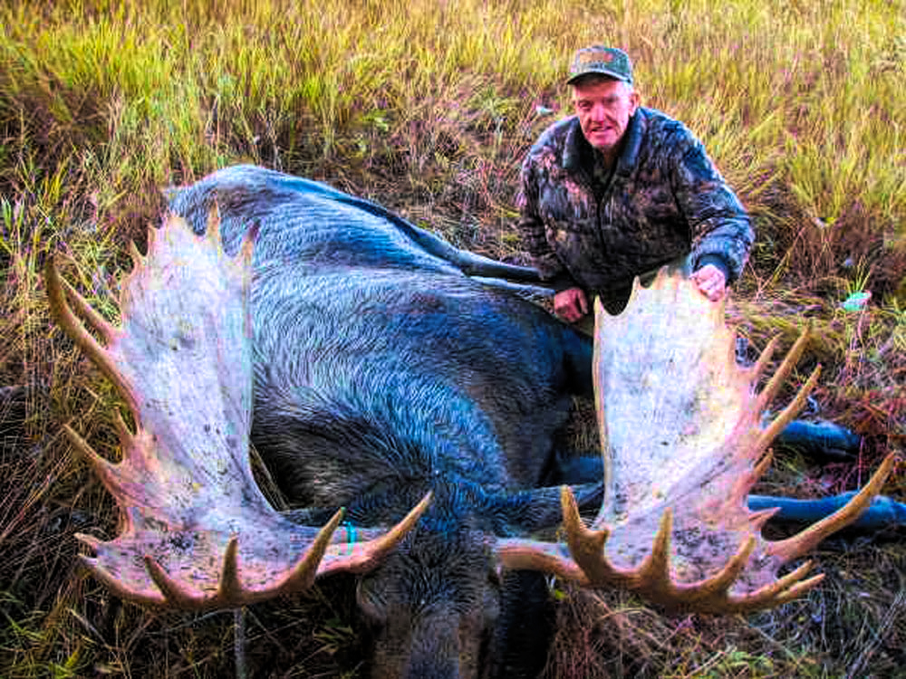 Alaska Moose Hunt - Hunt #3524 - 6