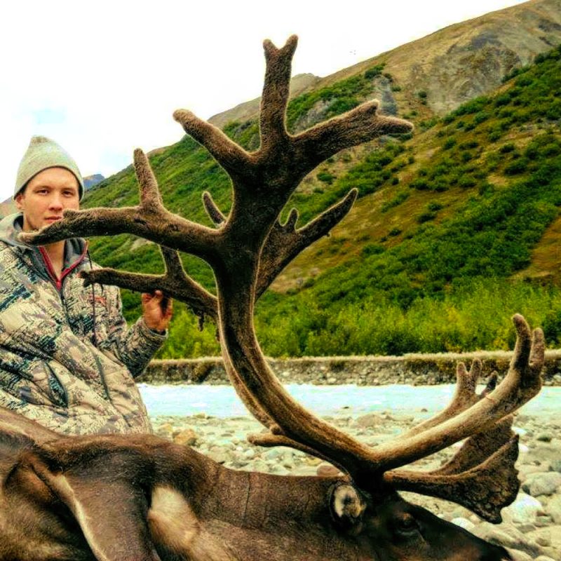 Alaska Caribou Hunt Quality Hunts 1 Hunt Provider in the World