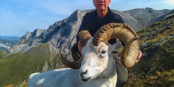 Alaska Dall Sheep Hunt - Hunt 3573