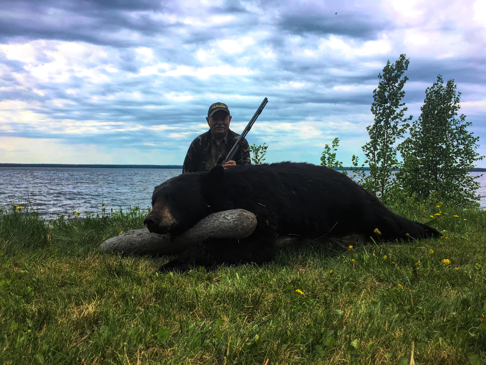 Alberta Trophy Black Bear - Hunt 3628