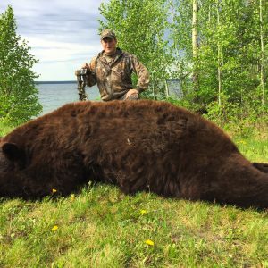 Alberta Trophy Black Bear - Hunt 3628