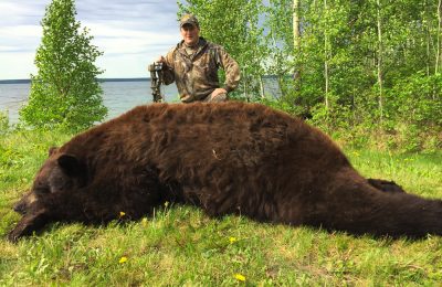 Alberta Trophy Black Bear - Hunt 3628