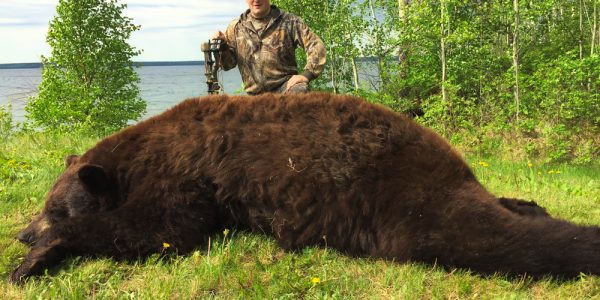 Alberta Trophy Black Bear - Hunt 3628