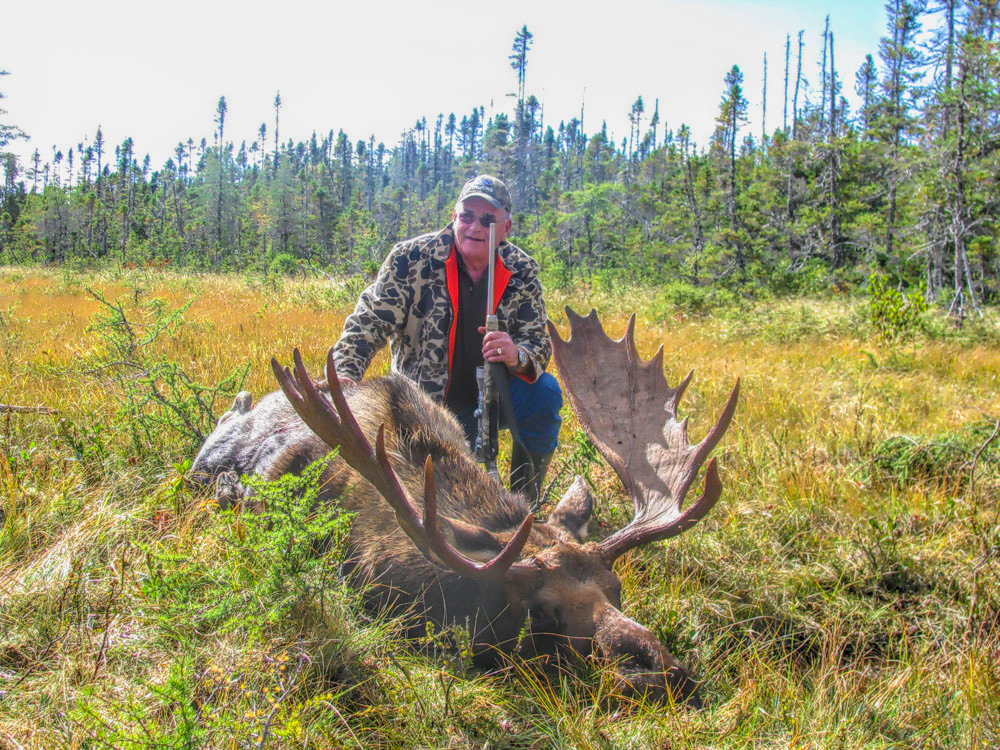 Eastern Canadian Moose Hunt - Hunt #3555