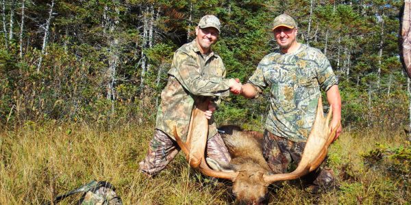 Eastern Canadian Moose Hunt - Hunt #3555