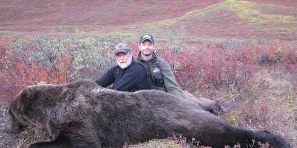 Arctic Grizzly Hunt - Hunt 3594