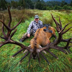 New Zealand Red Stag Hunt - Hunt 3819