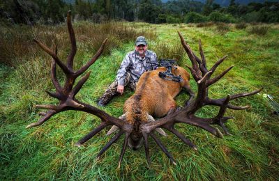 New Zealand Red Stag Hunt - Hunt 3819