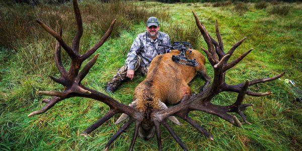 New Zealand Red Stag Hunt - Hunt 3819