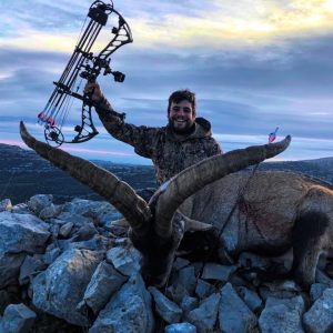 Hunt #3905 - Beceite Ibex