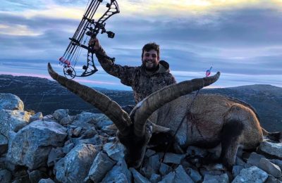 Hunt #3905 - Beceite Ibex