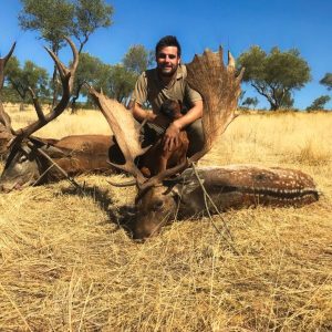 Hunt 3922 - European Fallow Deer