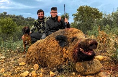Hunt 3930 - Wild Boar Hunt