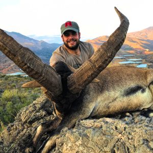 Hunt 3909 - Spain Southeastern Ibex - 02