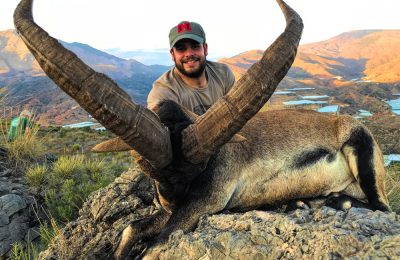 Hunt 3909 - Spain Southeastern Ibex - 02