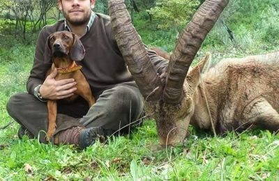 Hunt 3912 - Ronda Ibex - 01