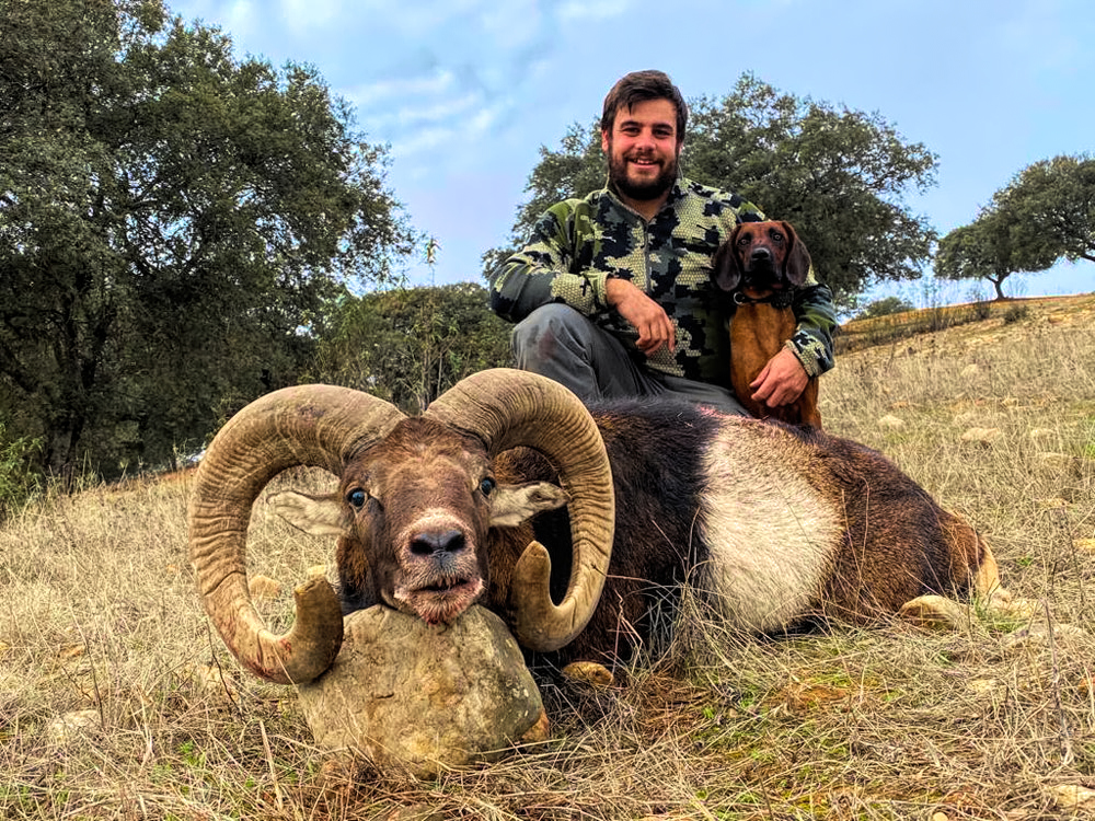 Hunt 3924 - Iberian Mouflon Sheep - 1