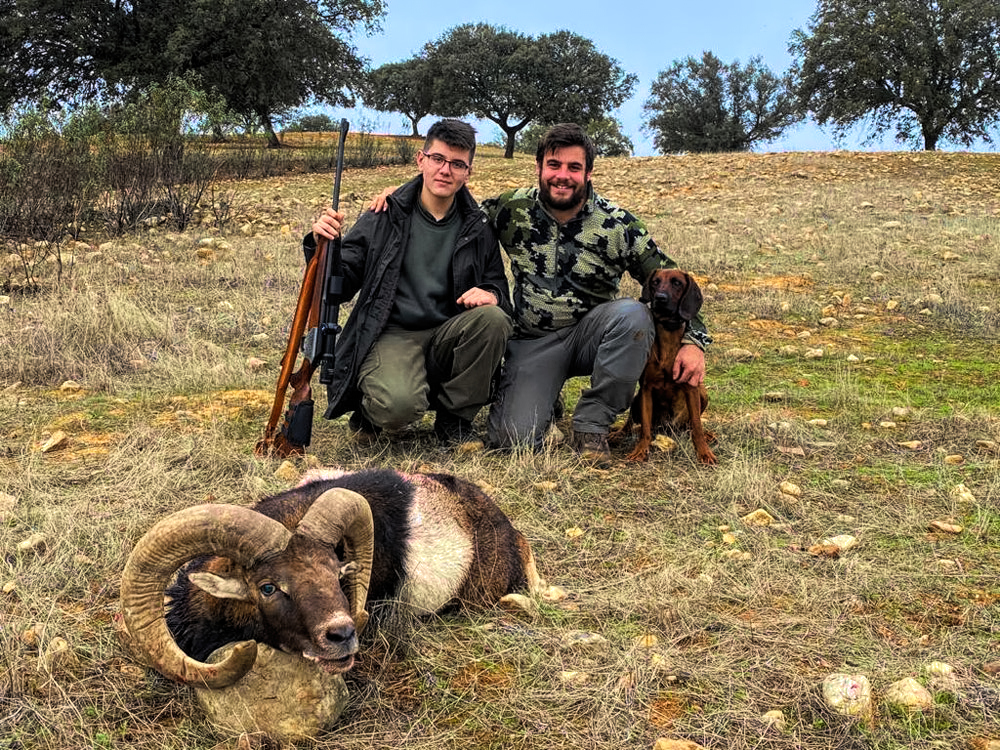Hunt 3924 - Iberian Mouflon Sheep - 2