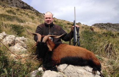 Hunt 3928 - Balearen Goat - 3