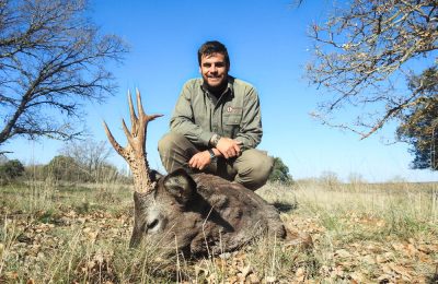 QH Hunt 3932 - European Roe Deer - 6