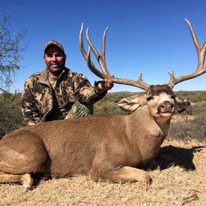 Mule Deer Hunt - Sonora Mexico - Hunt 4106