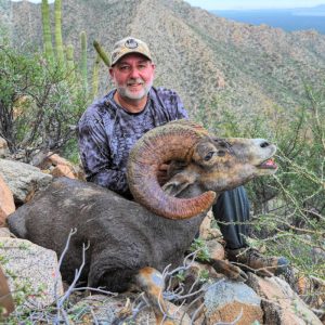 Desert Sheep Hunt - Sonora Mexico - Hunt 4112