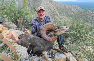 Desert Sheep Hunt - Sonora Mexico - Hunt 4112