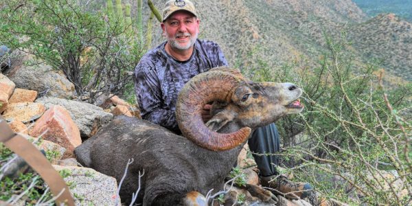 Desert Sheep Hunt - Sonora Mexico - Hunt 4112