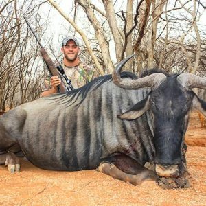 Hunt #4137 - Blue Wildebeest - South Africa Hunt