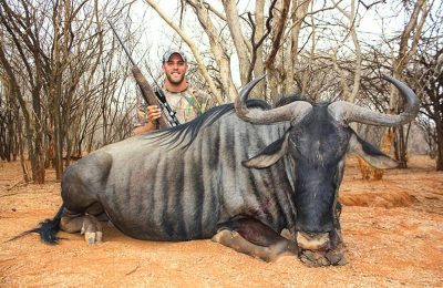 Hunt #4137 - Blue Wildebeest - South Africa Hunt