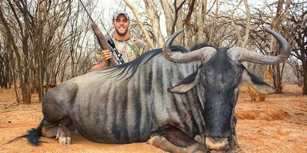 Hunt #4137 - Blue Wildebeest - South Africa Hunt