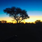 Sunrise - South Africa Hunt - Hunt #4282