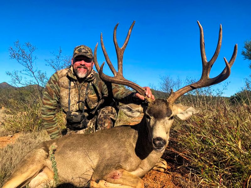 Sonora Mexico Desert Mule Deer Hunt Quality Hunts