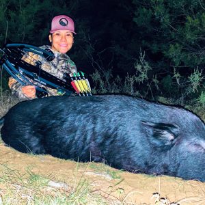 Texas Hog Hunts - Hunt #4685 - Quality Hunts