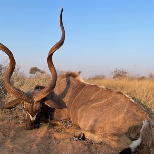 Greater Kudu South Africa Hunt - Hunt 4768 - Quality Hunts